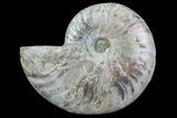 Silver Iridescent Ammonite - Madagascar #70052-1